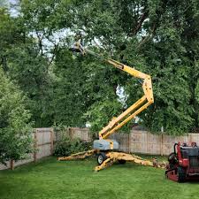 Lawn Watering Services in Hopatcong, NJ